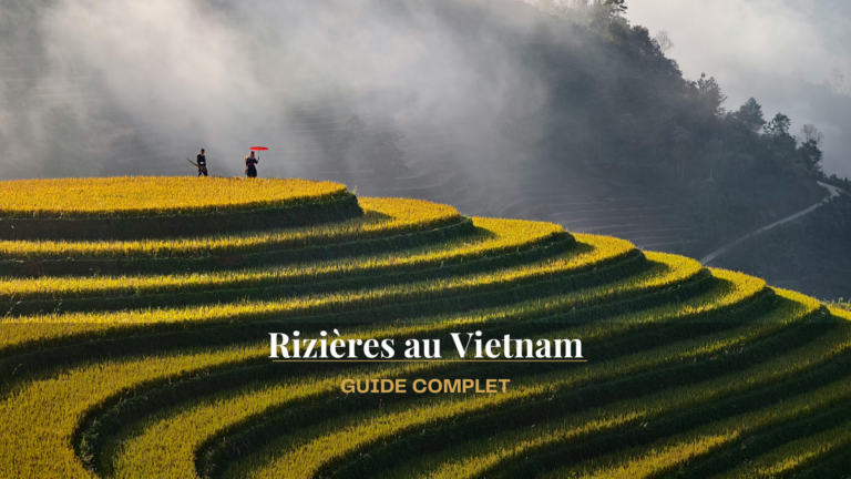 Quelle est la meilleure période pour voir les rizières au Vietnam ?