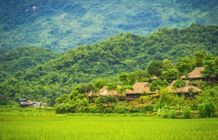 Que faire à Mai Chau