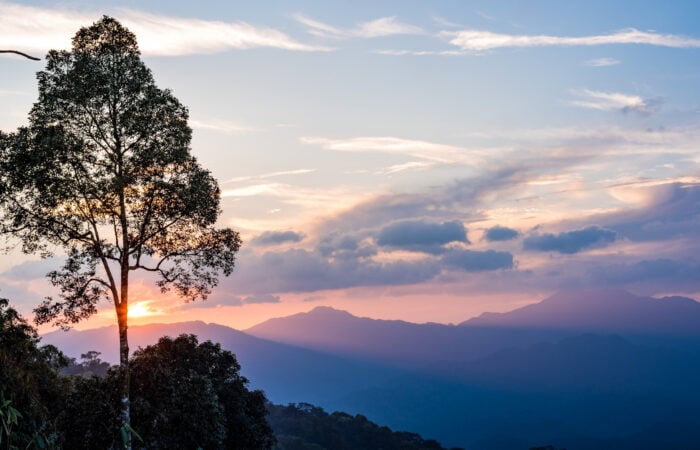 Top 10 des plus beaux parcs nationaux de Thaïlande