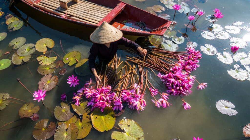 Tops d'activités à Ninh Binh