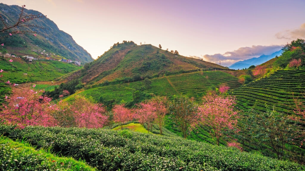 voyage road trip et trekking