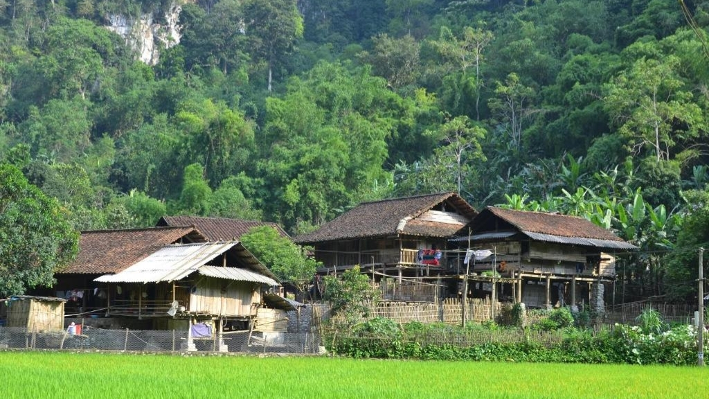 Ba Be Lake View Homestay
