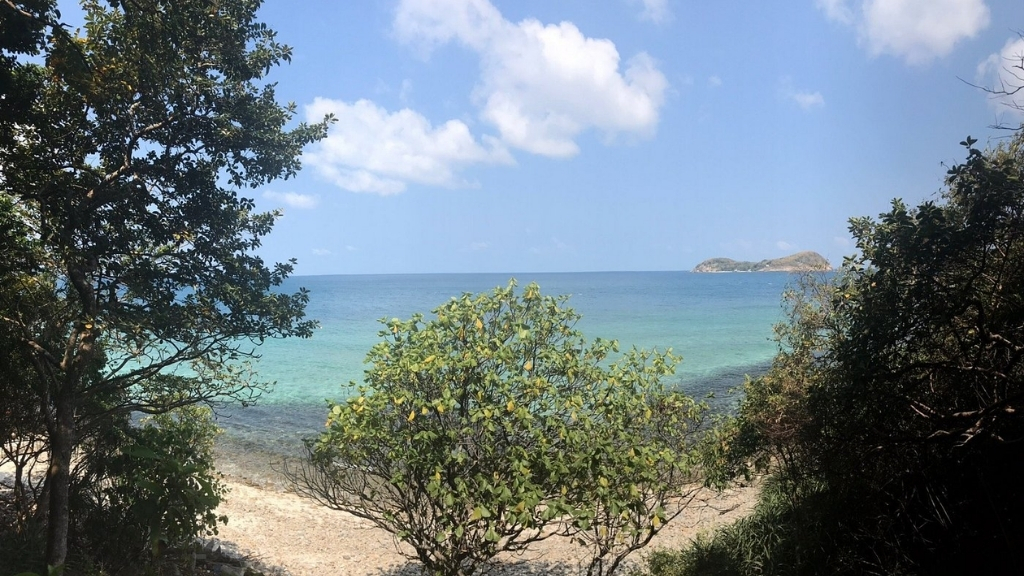 vietnam con dao parc national b 1024 - Tops d'activités à Con Dao