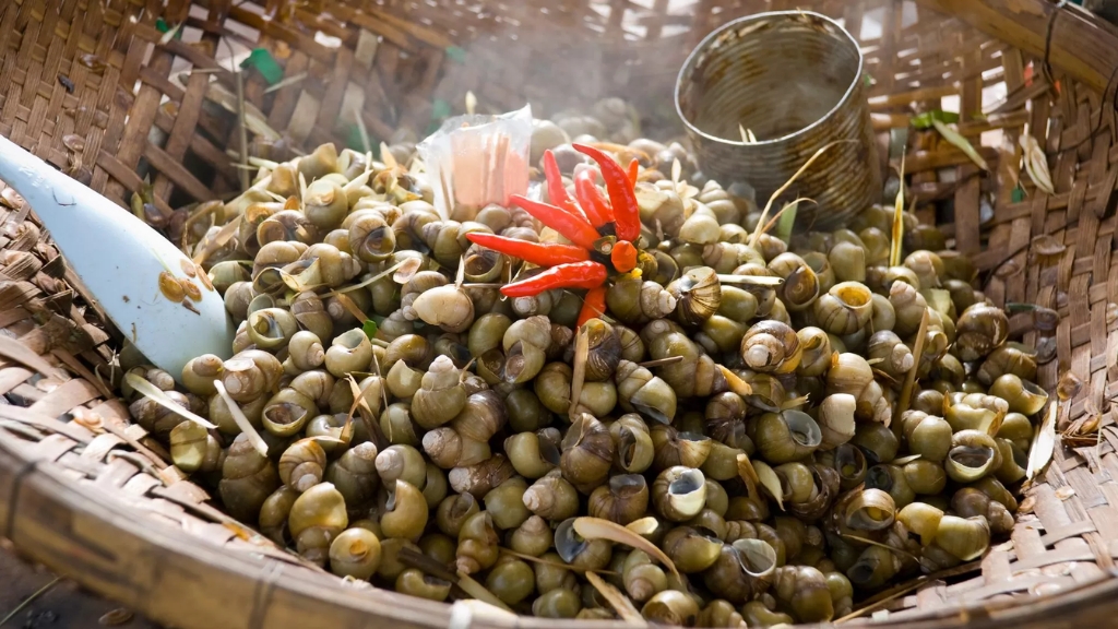 Escargots cuits à la vapeur