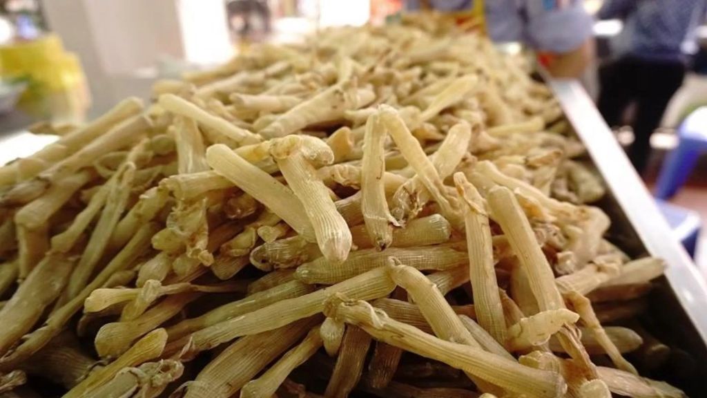 TOP 7 plats à Halong à essayer absolument pendant votre voyage - vietnam cuisine halong sa sung 1024 Sa Sung