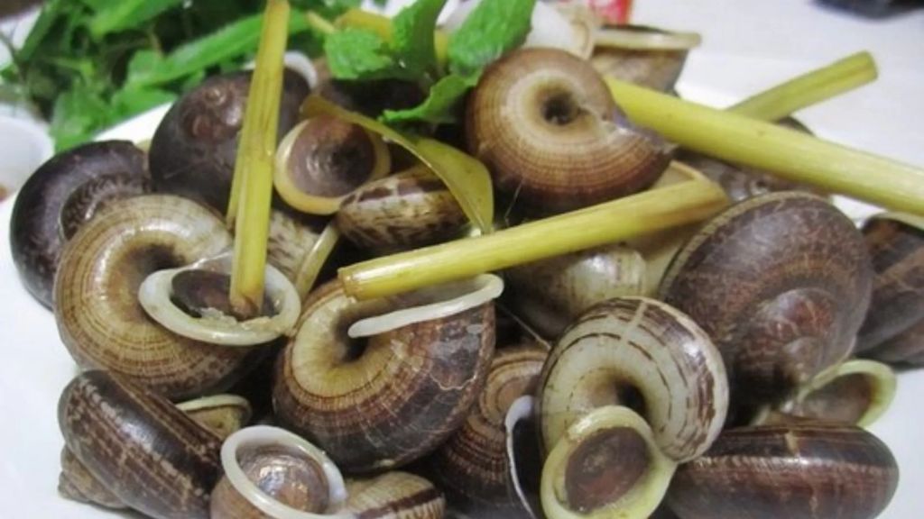 Que manger à Ninh Binh ? Spécialités locales à ne pas manquer - vietnam cuisine ninh binh escargots montagne 1024 Oc nui Ninh Binh