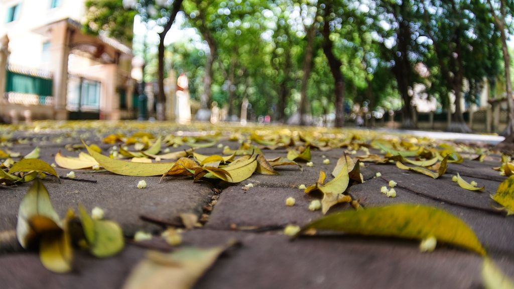 Rue Phan Dinh Phung, Hanoi