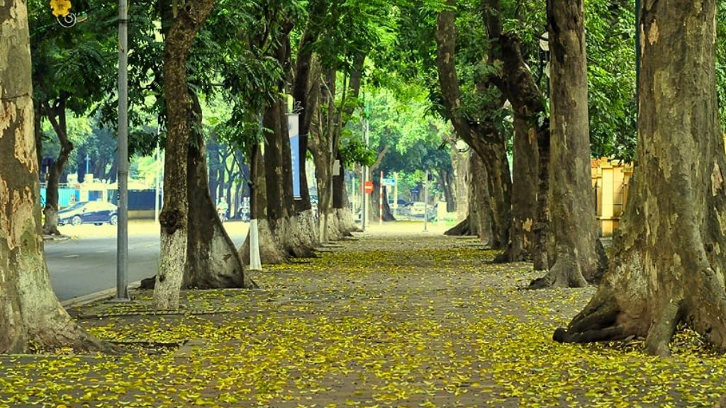 Phan Dinh Phung rue, Hanoi
