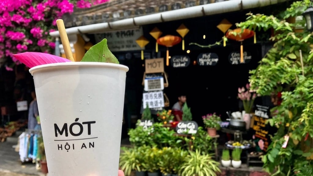 Top 5 des restaurants à Hoi An pour savourer les spécialités locales - vietnam hoi an restaurant mot hoi an 1024 Mót Hoi An