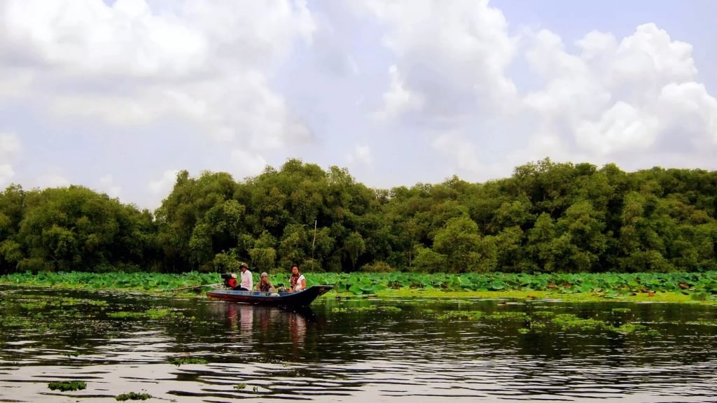 Forêt de cajeputiers de Tra Su