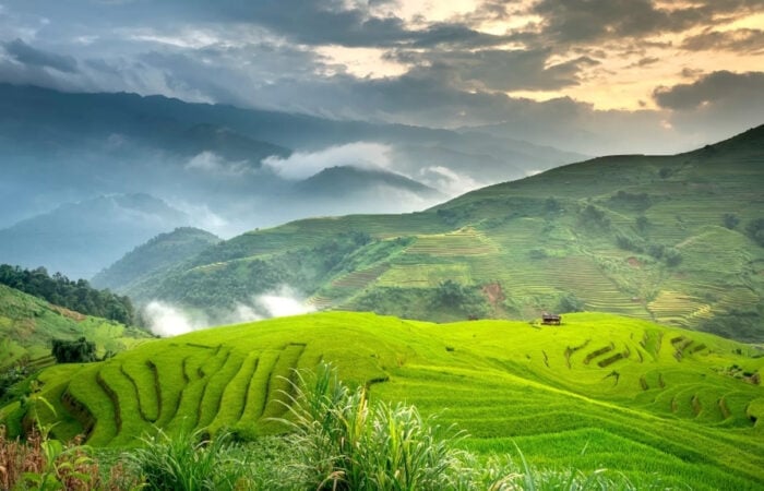 Mu Cang Chai au printemps