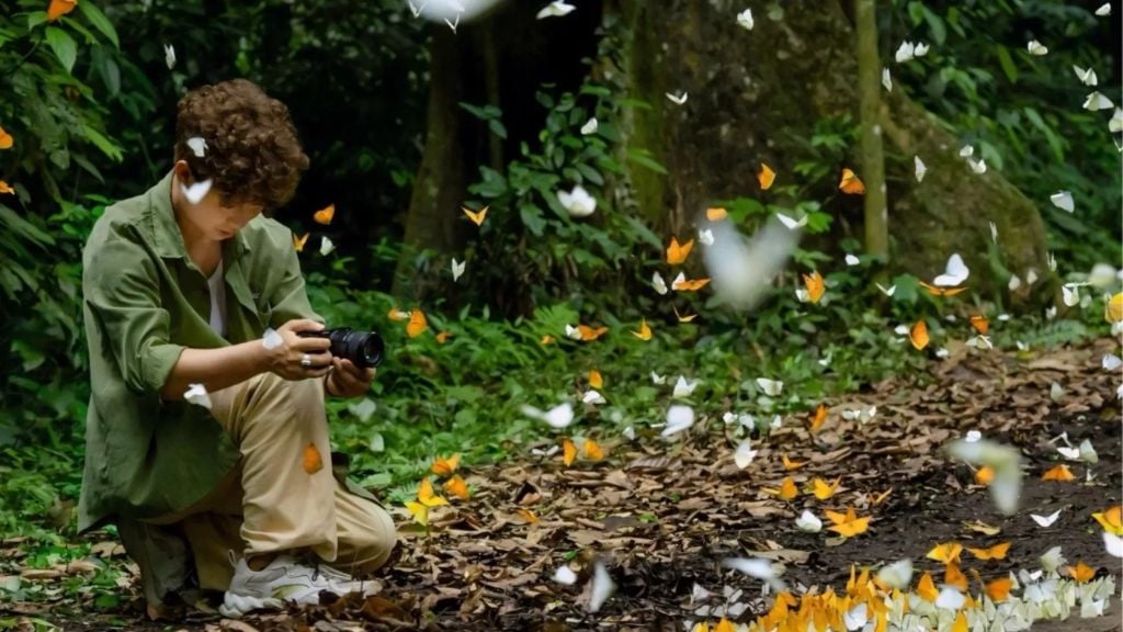 Meilleurs circuits au Vietnam pour couples à découvrir - vietnam ninh binh parc national cuc phuong 1024 Parc national de Cuc Phuong