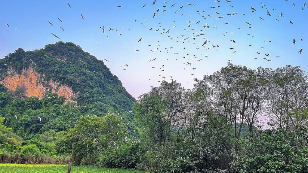 Meilleurs circuits au Vietnam pour couples à découvrir - vietnam ninh binh thung nham 1024 Paysage majestueux à Thung Nham
