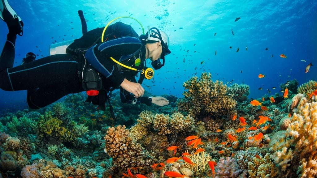 Plongée à Phu Quoc