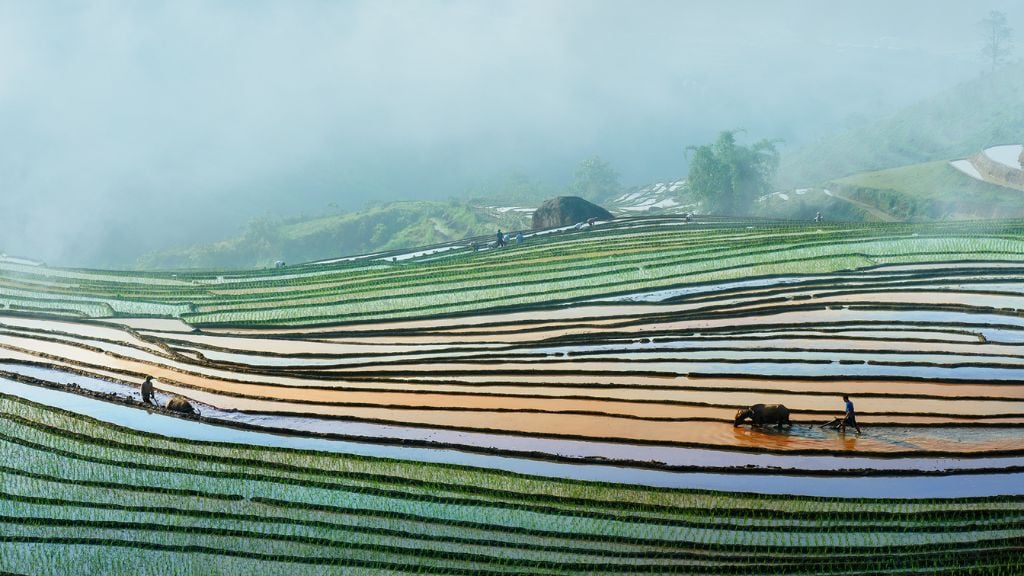 Quelle est la meilleure période pour voir les rizières au Vietnam ? - vietnam rizieres en terrasses saison de mise en eau 1024 La saison de mise en eau des rizières au Vietnam paysage reflétant le ciel
