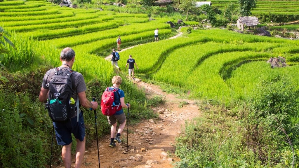 Trekking in Sapa, top activities for Vietnam travel