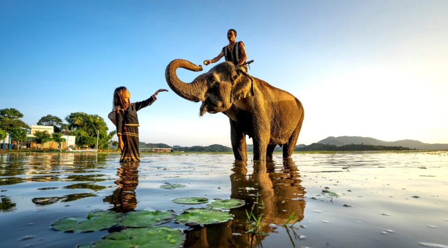 La vie simple et authentique des hauts plateaux