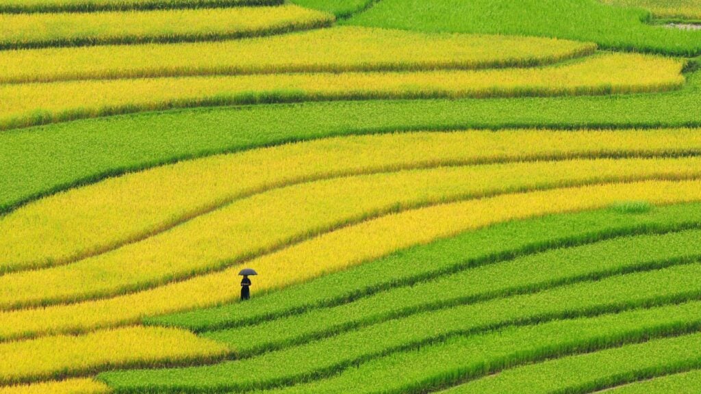 les bonnes raisons de nous choisir