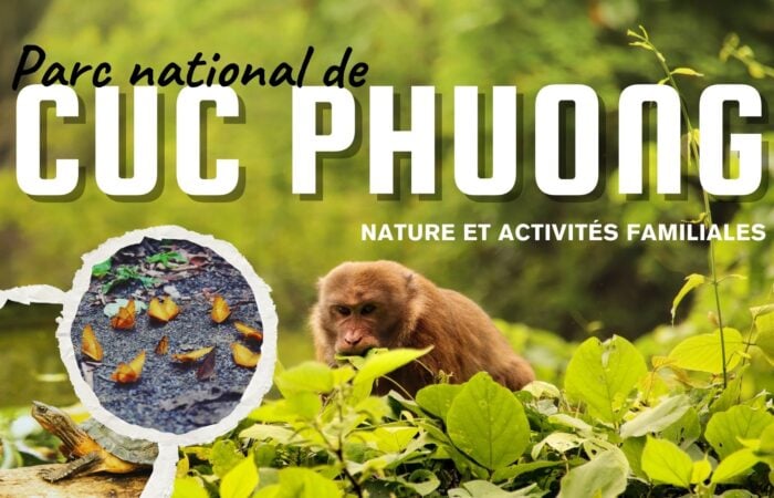 Parc national de Cuc Phuong : Nature et activités familiales