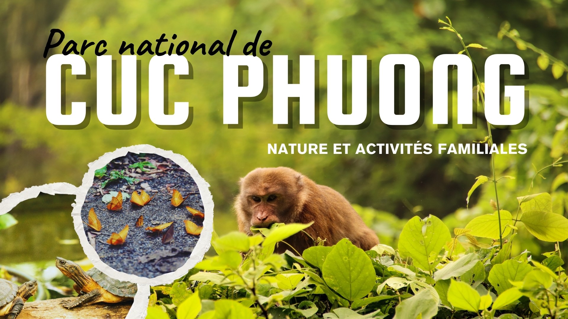Parc national de Cuc Phuong : Nature et activités familiales