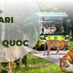 Visite du Safari de Phu Quoc : Une expérience familiale unique