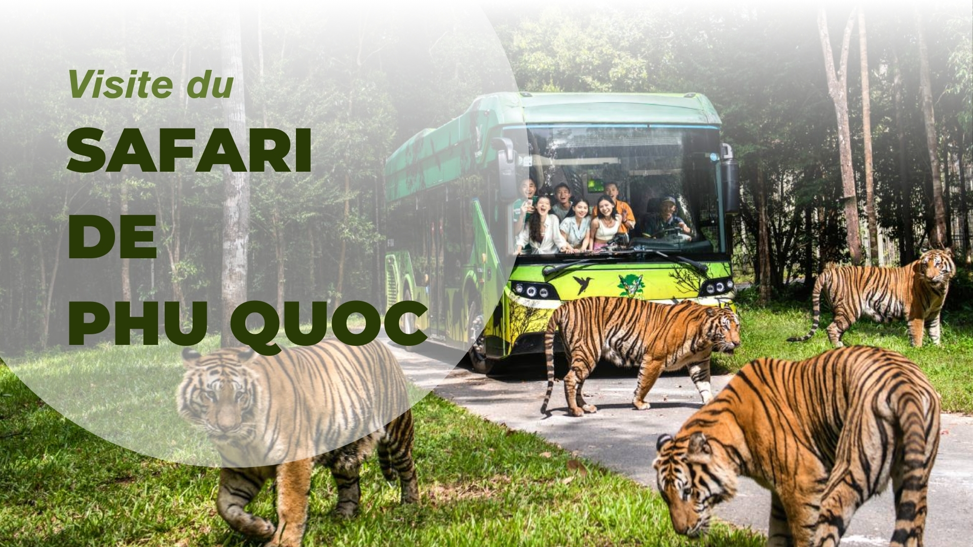 Visite du Safari de Phu Quoc : Une expérience familiale unique