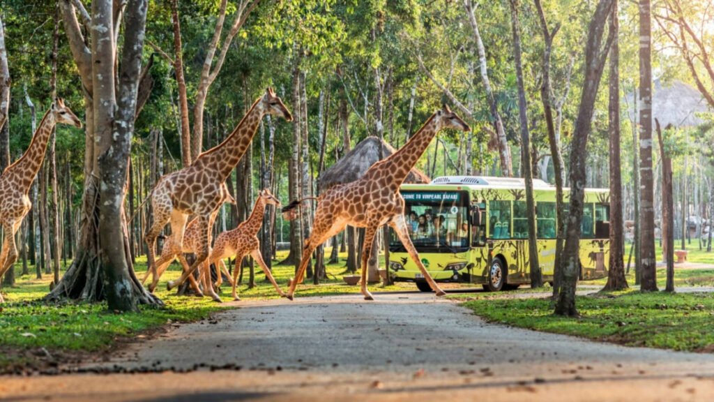 Visite du Safari de Phu Quoc : Une expérience familiale unique