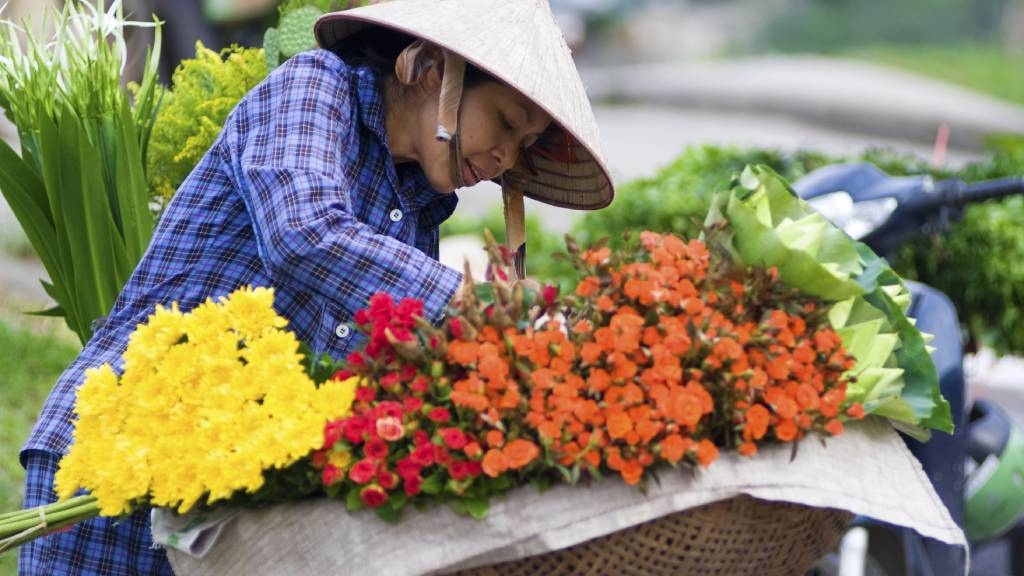 Chariot à fleurs à Hanoi 2