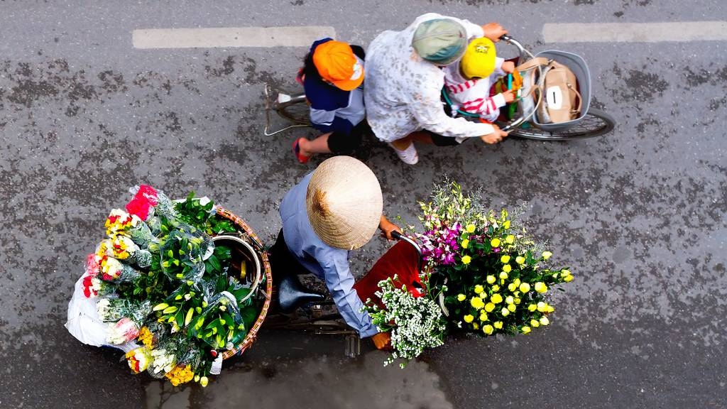 Vietnam — Votre alternative sûre en 2026: Guide dédié aux voyageurs francophones - vietnam hanoi flower cart 2 1024 Chariot à fleurs à Hanoi