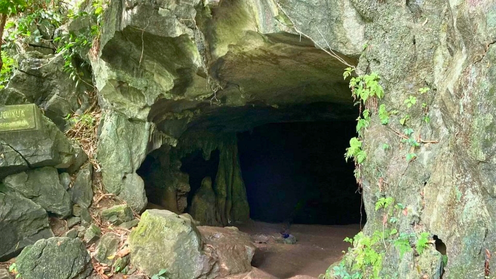 vietnam ninh binh parc national cuc phuong grotte prehistorique 1024 1 - Parc national de Cuc Phuong : Nature et activités familiales
