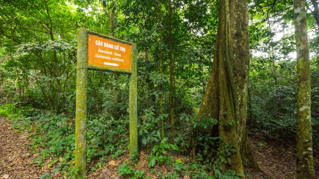 Parc national de Cuc Phuong