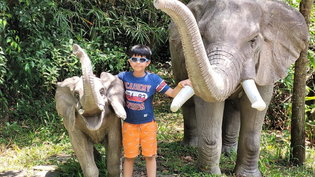 vietnam phu quoc vinpearl safari 1024 2 1 - Visite du Safari de Phu Quoc : Une expérience familiale unique