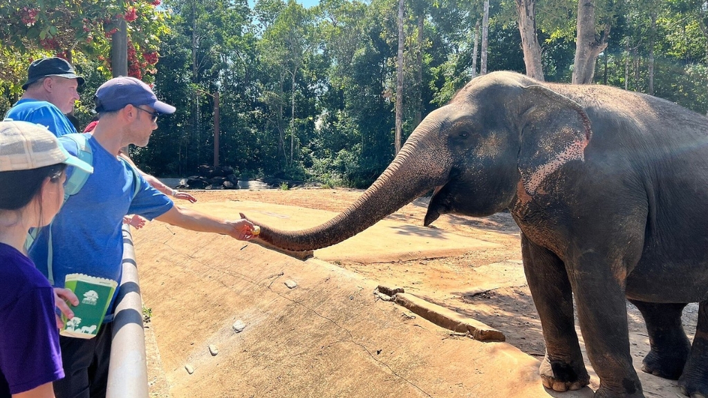 vietnam phu quoc vinpearl safari 1024 4 - Visite du Safari de Phu Quoc : Une expérience familiale unique