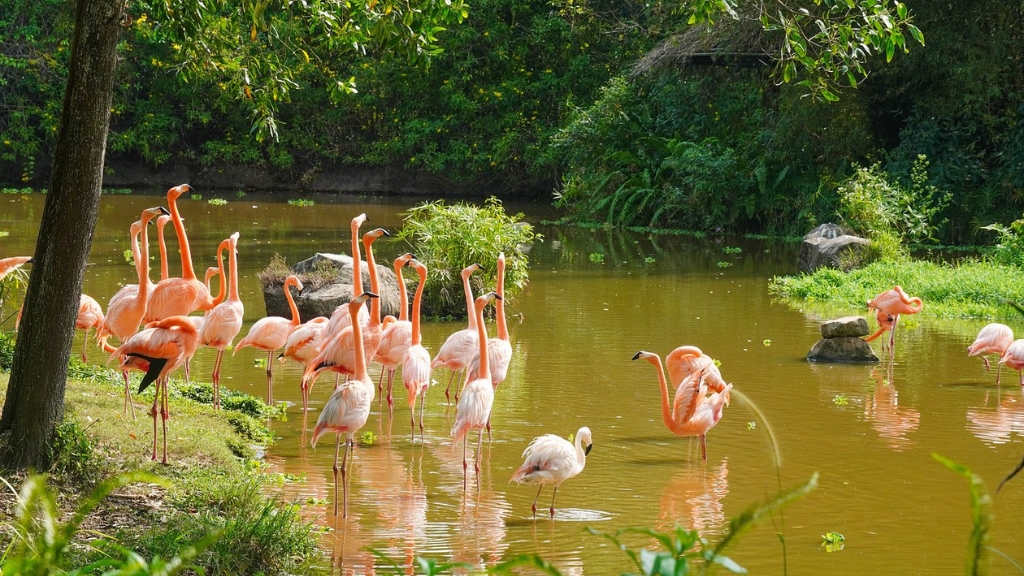 vietnam phu quoc vinpearl safari 1024 - Visite du Safari de Phu Quoc : Une expérience familiale unique