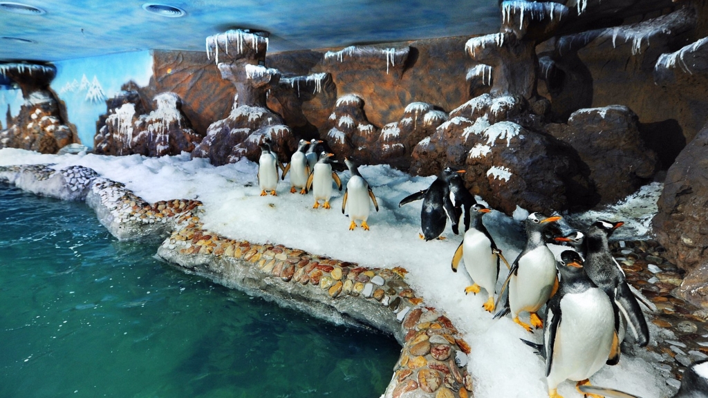 Le Palais du Roi des Mers