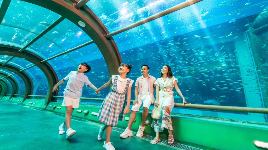 Le Palais du Roi des Mers