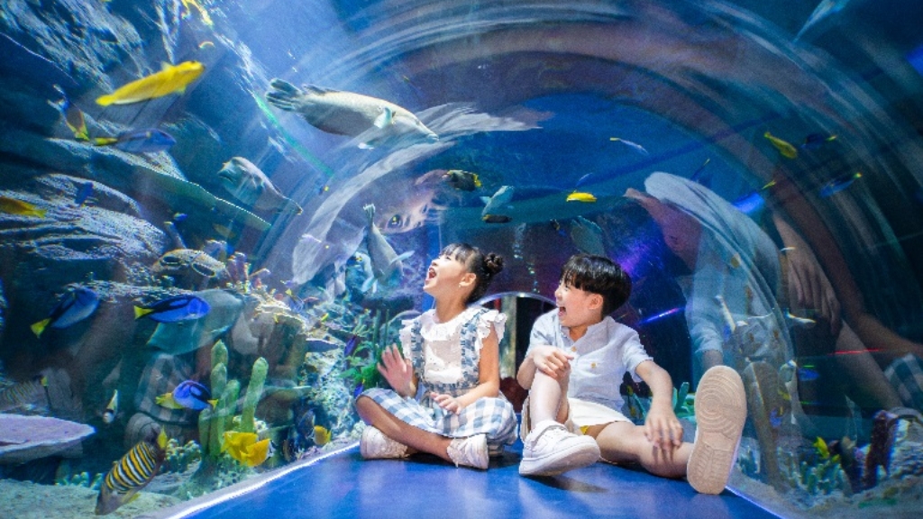 Le Palais du Roi des Mers