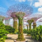 Gardens by the Bay à Singapour