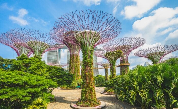 Gardens by the Bay à Singapour