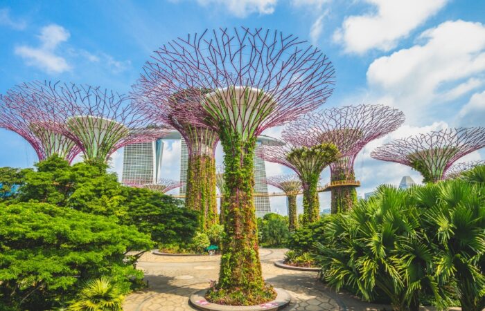 Gardens by the Bay à Singapour