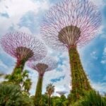 Gardens by the Bay à Singapour