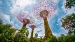 Gardens by the Bay à Singapour