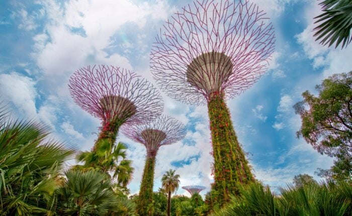 Gardens by the Bay à Singapour