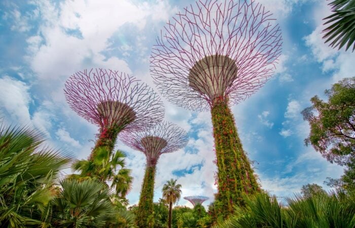 Gardens by the Bay à Singapour