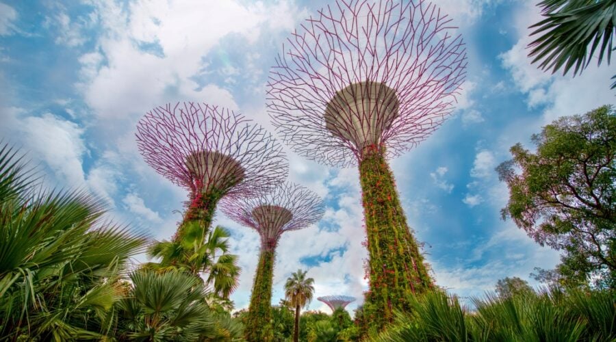 Gardens by the Bay à Singapour