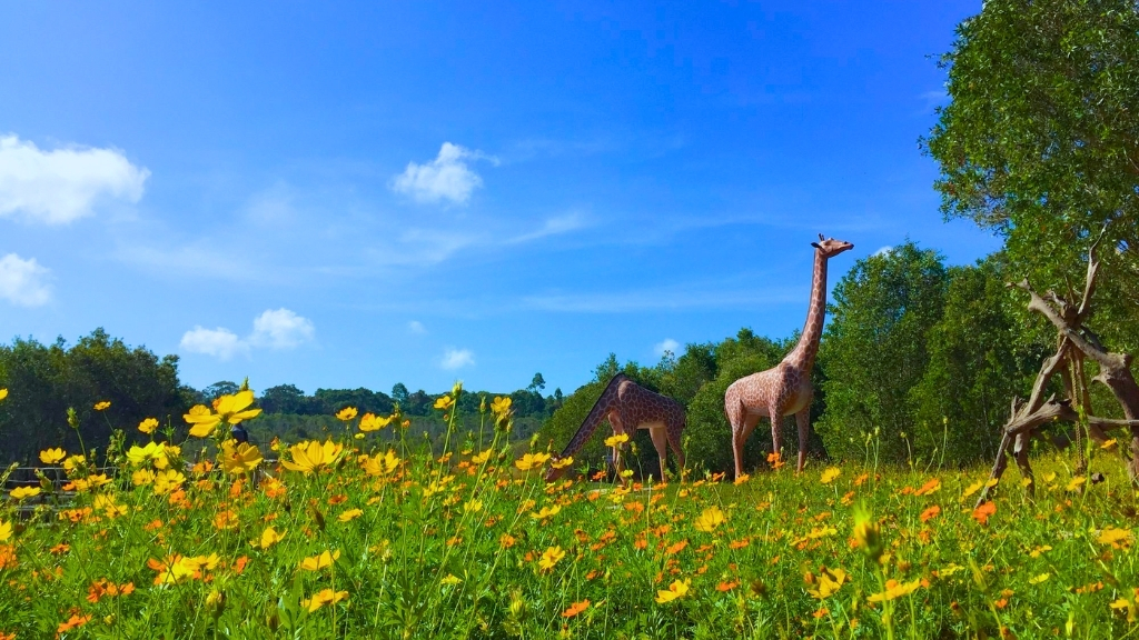 Réserve naturelle de Binh Chau – Phuoc Buu