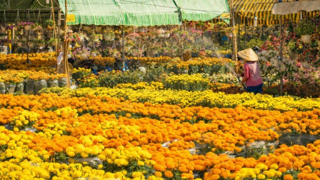 Delta du Mékong pendant le Têt