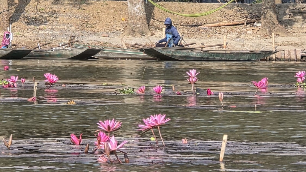 feedback madame ophelie vietnam cambodge 16 1024 - Voyage Vietnam-Cambodge en couple : 15 jours pour vivre à deux