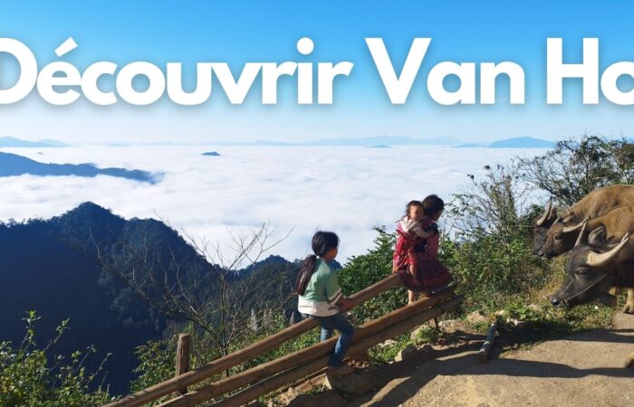 Featured découvrir à Van Ho