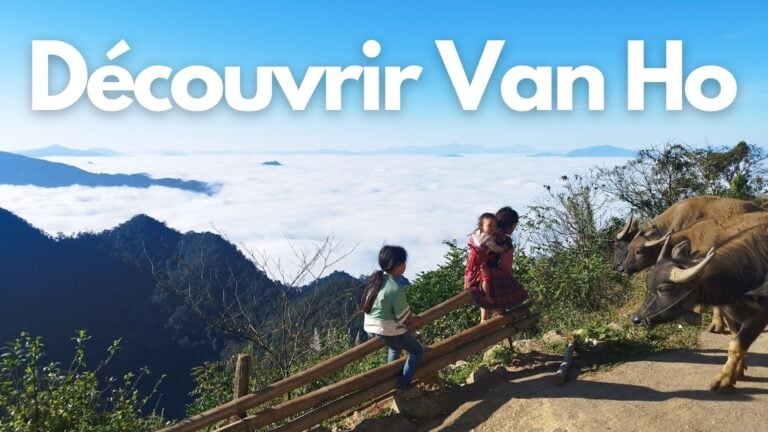 Featured découvrir à Van Ho